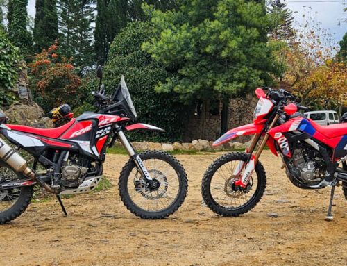 HONDA CRF300L vs RIEJU 307 RALLY: LA COMPARATIVA